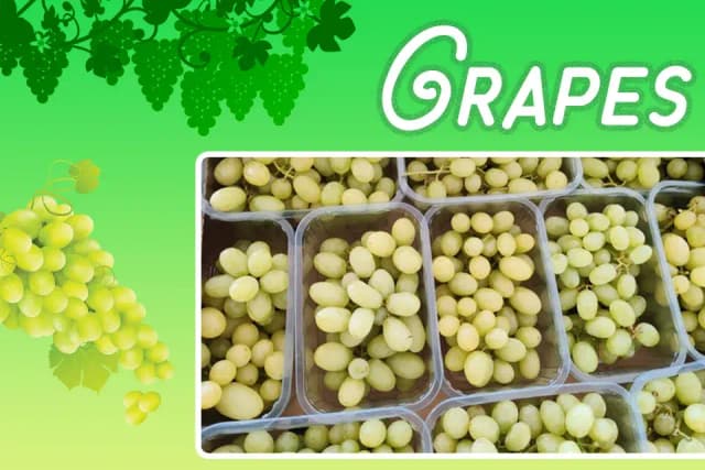 /var/www/html/rayvat_com/assets/images/fruit-day/Grapes_day/1 (3)