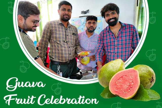 /var/www/html/rayvat_com/assets/images/fruit-day/Guava_day/3
