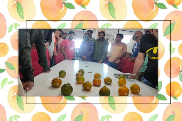 /var/www/html/rayvat_com/assets/images/fruit-day/Orange_Day/10-2