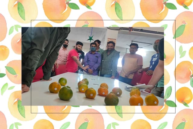 /var/www/html/rayvat_com/assets/images/fruit-day/Orange_Day/11-2