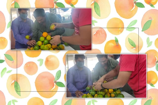 /var/www/html/rayvat_com/assets/images/fruit-day/Orange_Day/13-2