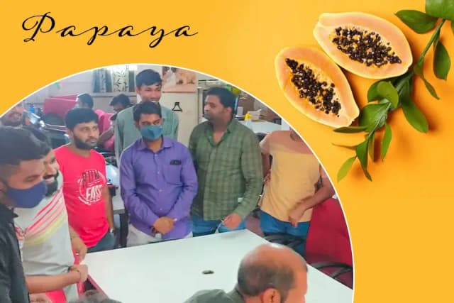 /var/www/html/rayvat_com/assets/images/fruit-day/Papaya_Day/6 (1)