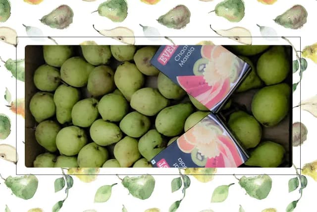 /var/www/html/rayvat_com/assets/images/fruit-day/Pear_day/1