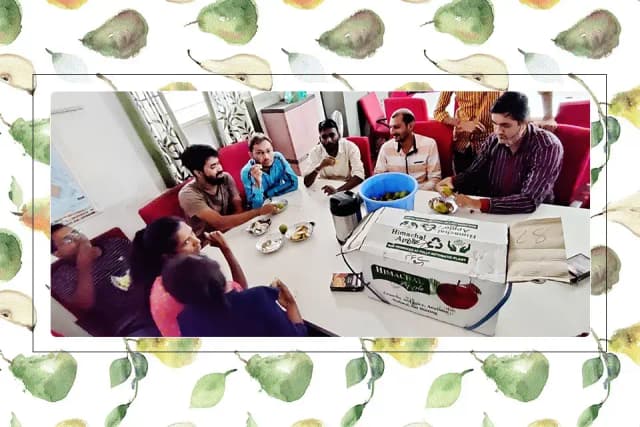 /var/www/html/rayvat_com/assets/images/fruit-day/Pear_day/2