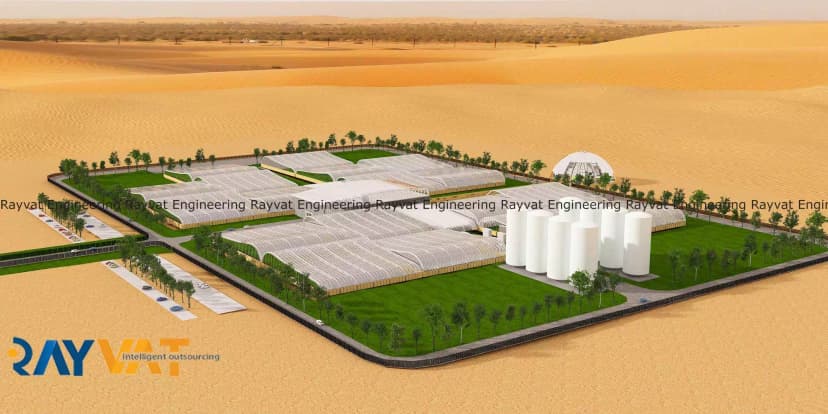 Abu Dhabi Cattle Farm 1