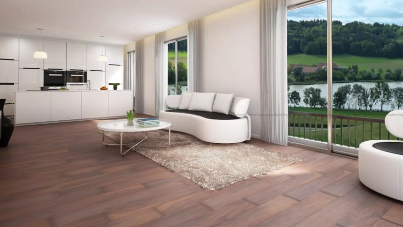 Kitchen Cum Living Riverside Switzerland
