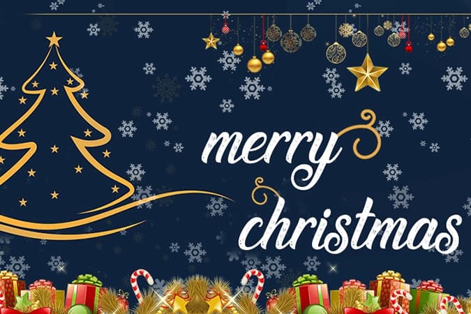 Merry Christmas From Rayvat