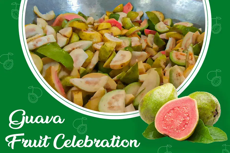 /var/www/html/rayvat_com/assets/images/fruit-day/Guava_day/4